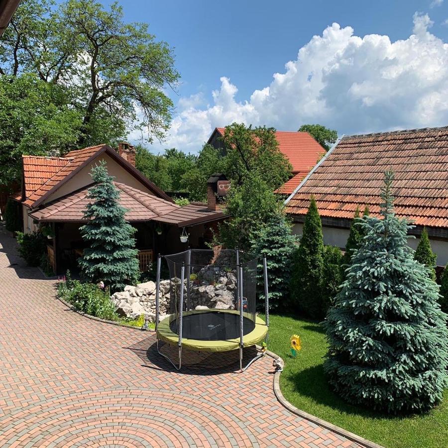 Pensiunea Haiduc Sacele Brasov ภายนอก รูปภาพ