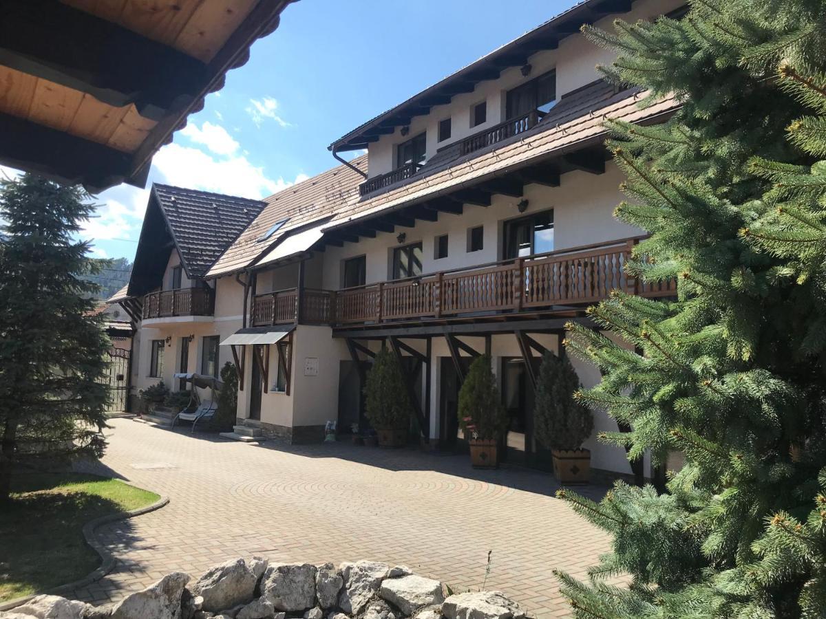 Pensiunea Haiduc Sacele Brasov ภายนอก รูปภาพ