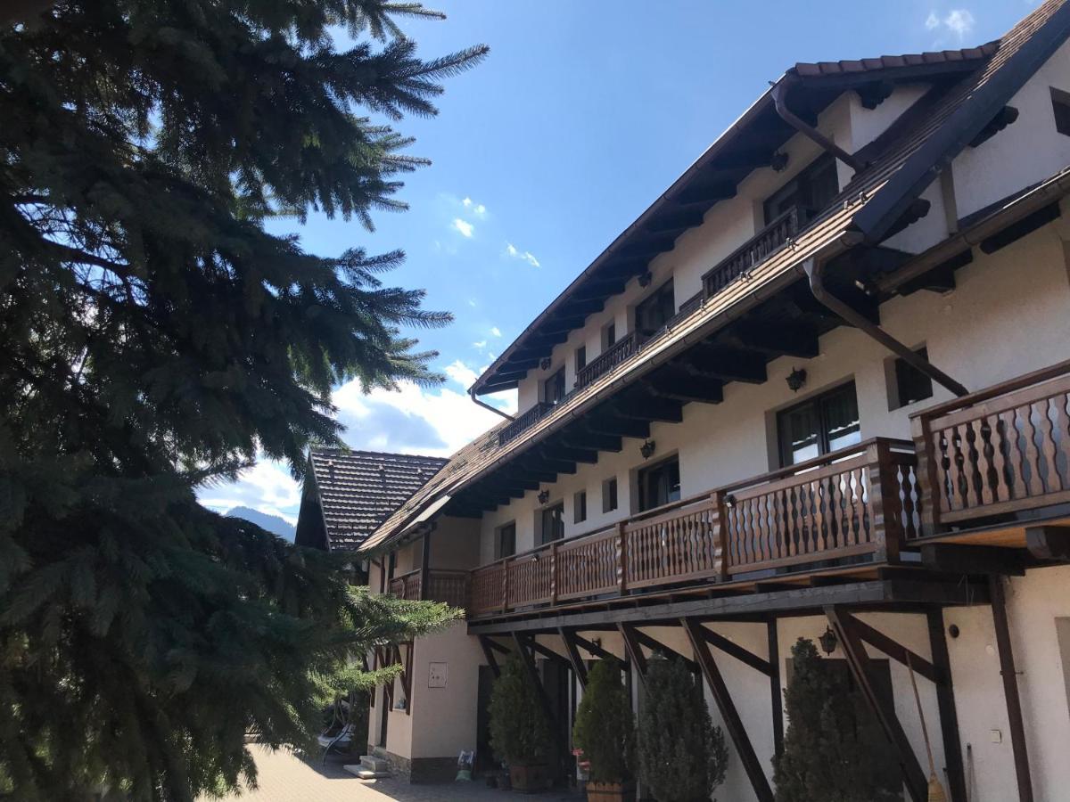 Pensiunea Haiduc Sacele Brasov ภายนอก รูปภาพ