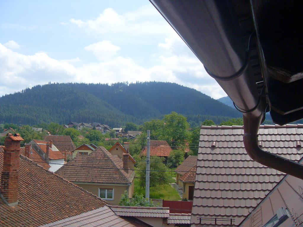 Pensiunea Haiduc Sacele Brasov ภายนอก รูปภาพ