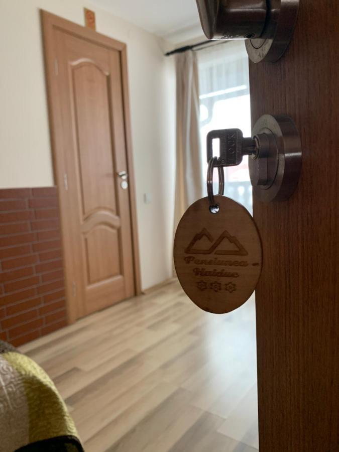 Pensiunea Haiduc Sacele Brasov ภายนอก รูปภาพ